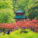 爱晚亭 - 长沙市旅游 缩略图 1