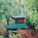 爱晚亭 - 长沙市旅游 缩略图 2
