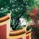 爱晚亭 - 长沙市旅游 缩略图 6