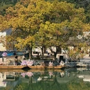 东钱湖风景名胜区 - 宁波市旅游 缩略图 6