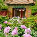 北海公园 - 北京市旅游 缩略图 3