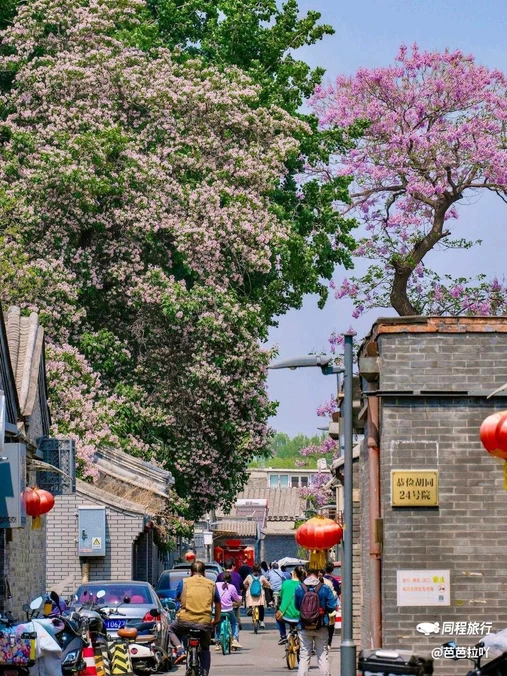 北海公园 - 北京市旅游