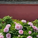 北海公园 - 北京市旅游 缩略图 7