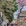 北京市·北海公园