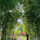 虎丘山风景名胜区 - 苏州市旅游 缩略图 4