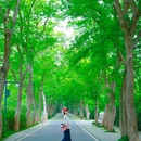 武汉东湖落雁景区 - 武汉市旅游 缩略图 1