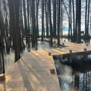 武汉东湖落雁景区 - 武汉市旅游 缩略图 9