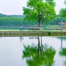 武汉东湖落雁景区 - 武汉市旅游 缩略图 7