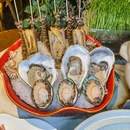 金龙·打边炉(定西路店) - 上海市旅游 缩略图 6