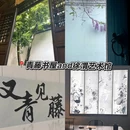 鲁迅故里景区 - 绍兴市旅游 缩略图 8