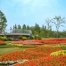 上海植物园 - 上海市旅游 缩略图 6