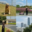 宏城公园 - 广州旅游 缩略图 2