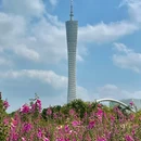 宏城公园 - 广州旅游 缩略图 4