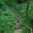 林泉山庄何豆花 - 成都市旅游 缩略图 1
