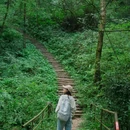 林泉山庄何豆花 - 成都市旅游 缩略图 2