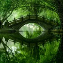 棠湖公园 - 成都市旅游 缩略图 1