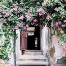 红星路 - 合肥市旅游 缩略图 2