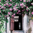 红星路 - 合肥市旅游 缩略图 1