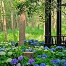 明孝陵景区 - 南京市旅游 缩略图 5