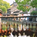 安昌古镇 - 绍兴市旅游 缩略图 8