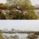 嘉兴子城遗址公园 - 嘉兴市旅游 缩略图 4
