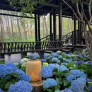 明孝陵景区-燕雀湖风景区 - 南京市旅游 缩略图 5