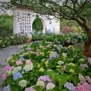 明孝陵景区-燕雀湖风景区 - 南京市旅游 缩略图 7