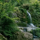 龙苍沟森林公园 - 雅安市旅游 缩略图 9