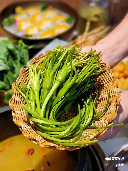 野·大山里野生菌石锅土鸡(深圳喜荟城店) - 深圳市旅游