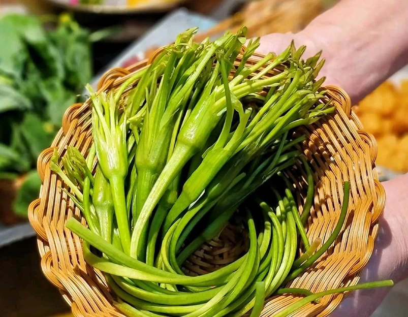 野·大山里野生菌石锅土鸡(深圳喜荟城店) - 深圳市旅游 1