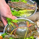 牛很鲜大排档·鲜活牛肉海鲜火锅·顺德黄油焗 - 杭州市旅游 缩略图 6