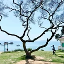 厦门站 - 厦门市旅游 缩略图 4
