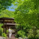 杭州西溪湿地国家公园 - 杭州市旅游 缩略图 3