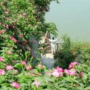 重庆市铜锣花谷生态园 - 重庆市旅游 缩略图 1