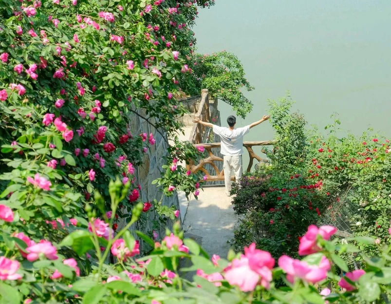 重庆市铜锣花谷生态园 - 重庆市旅游 1