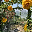 重庆市铜锣花谷生态园 - 重庆市旅游 缩略图 4