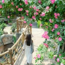 重庆市铜锣花谷生态园 - 重庆市旅游 缩略图 6