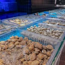曼格活海鲜·榴莲自助(宝安大仟里国潮店) - 深圳市旅游 缩略图 9