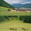 云南民族村 - 昆明市旅游 缩略图 2