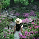 中国科学院桂林植物园 - 桂林市旅游 缩略图 3