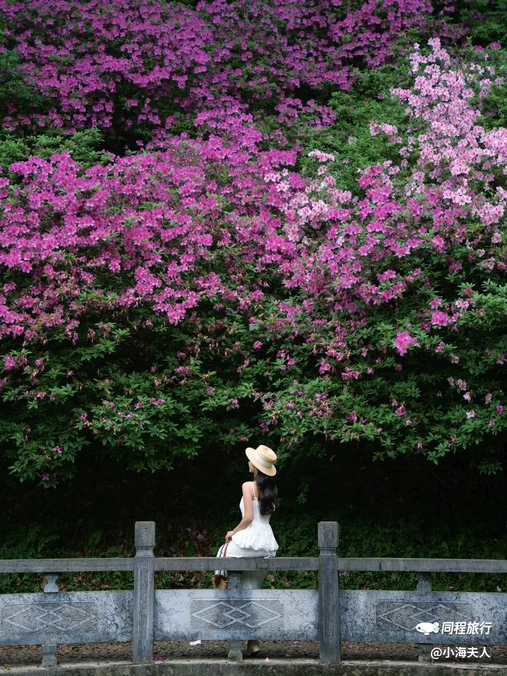 中国科学院桂林植物园 - 桂林市旅游