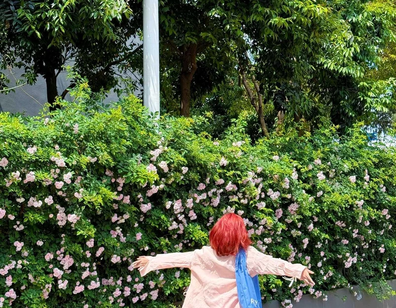 中通世纪峯荟花园 - 昆明市旅游 1