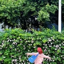 中通世纪峯荟花园 - 昆明市旅游 缩略图 6