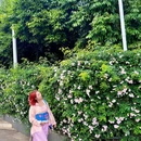 中通世纪峯荟花园 - 昆明市旅游 缩略图 9