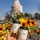 白塔寺 - 北京市旅游 缩略图 7