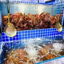 海鲜时间自助餐厅(武汉店) - 武汉市旅游 缩略图 7