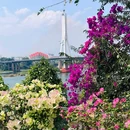 北榄坡·澜湄江景日落餐厅(告庄孔雀城店) - 西双版纳傣族自治州旅游 缩略图 7