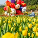 中共江浙区泰兴独立纪念馆 - 泰州市旅游 缩略图 9