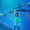 迎客松 - 芜湖旅游 缩略图 3