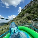 迎客松 - 芜湖旅游 缩略图 9